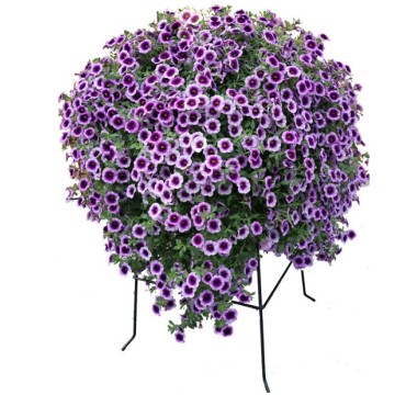 Flowermaxx 41cm контейнер для цветов